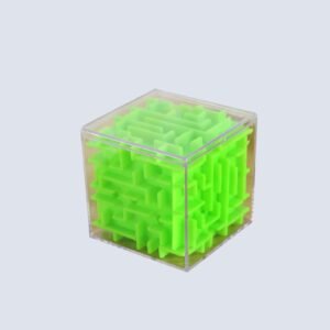 The Maze Puzzle